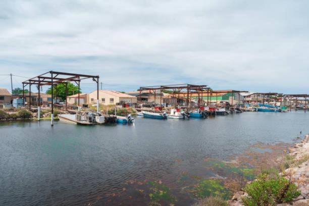 La Casa Tranquilia Chez Vero Et Jj Studio A Marseillan Eksteriør billede