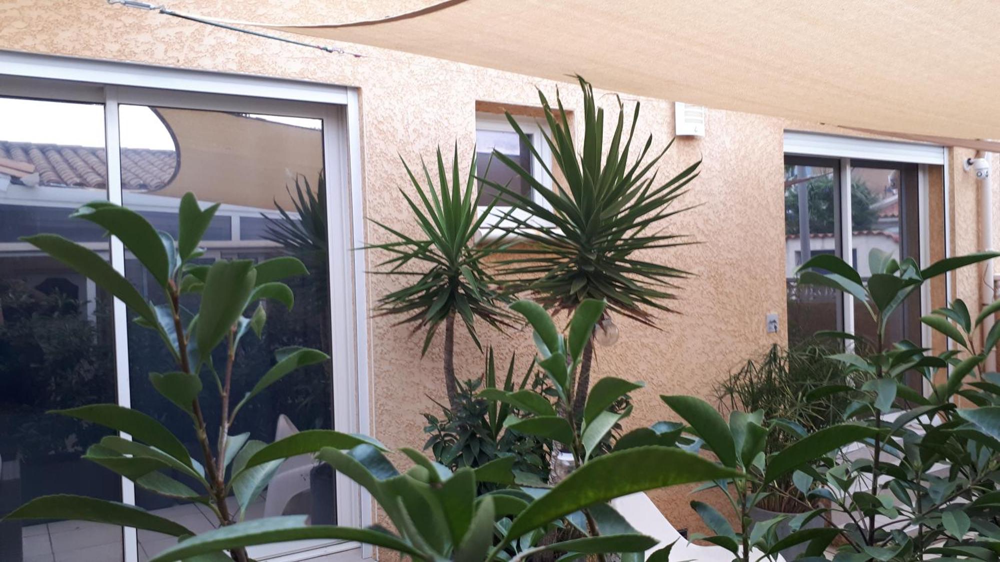 La Casa Tranquilia Chez Vero Et Jj Studio A Marseillan Eksteriør billede